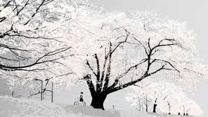 Animation Black And White Anime Girl With Bike Cherry Blossom