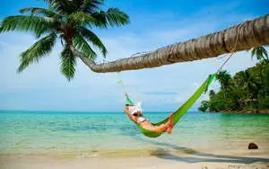 Bikini Girl In Green Hammock 