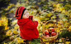 Child With A Basket Of Apples