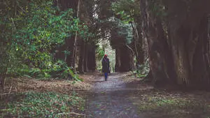 Girl Alone Enchanted Forest