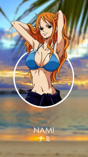 Hot Bikini Nami One Piece