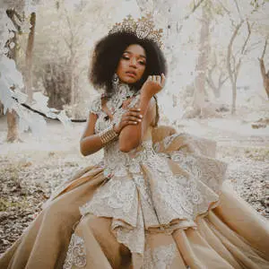  Caption: Embodying Regality in Royal Gown Aesthetics 
