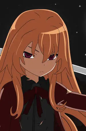 Mystery Look Taiga Aisaka