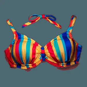 Vintage Bikini Top PNG 06132024